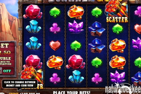 Slot Bonanza Gold