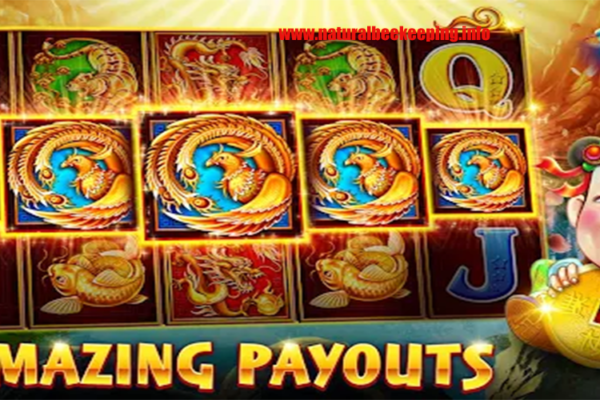 Slot Online dengan Bayaran