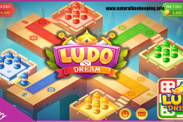 Ludo Dream Panduan Pemain