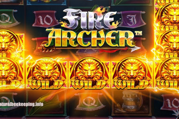 Slot Fire Archer