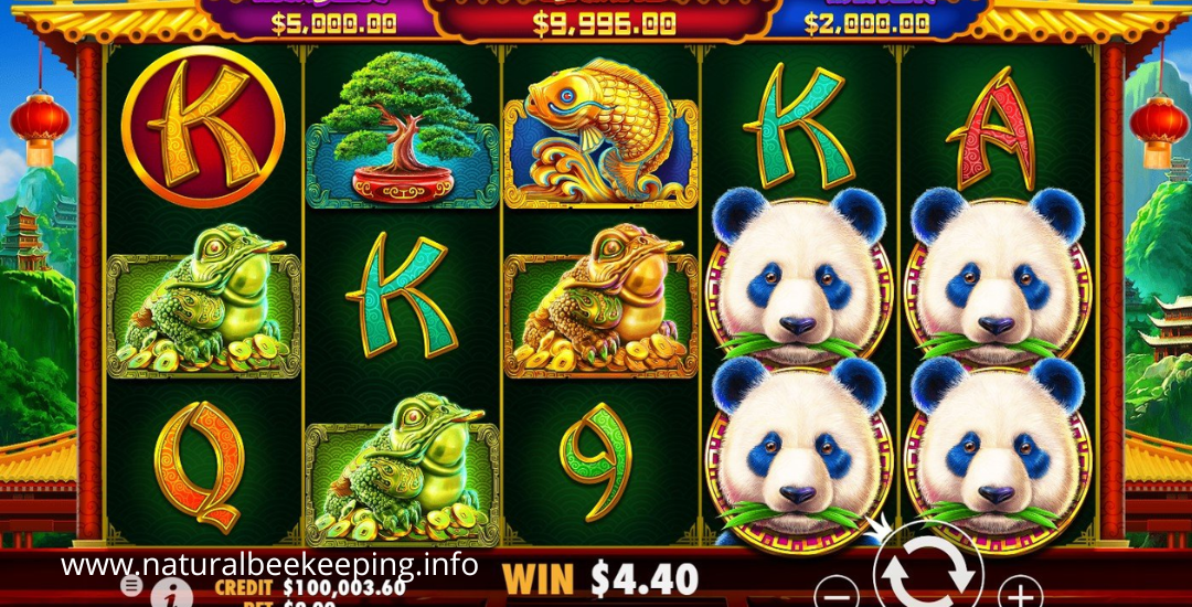 Panda's Fortune Temukan Harta Karun