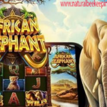 AFRIKAN ELEPHAN Slot Gacor