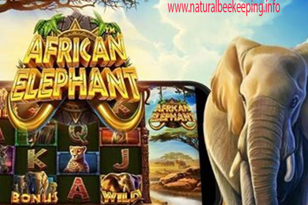 AFRIKAN ELEPHAN Slot Gacor