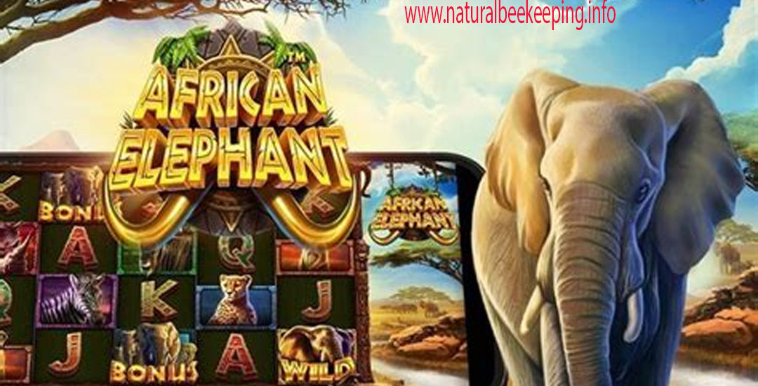 AFRIKAN ELEPHAN Slot Gacor