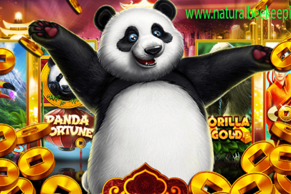 Panda's Fortune Keberuntungan