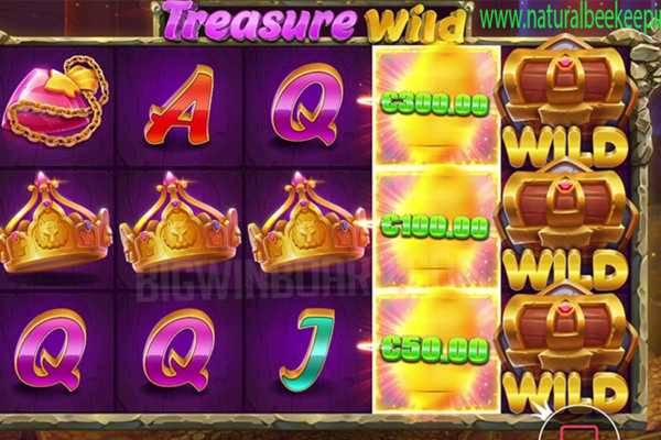 Treasure Wild Petualangan