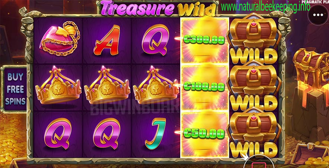 Treasure Wild Petualangan