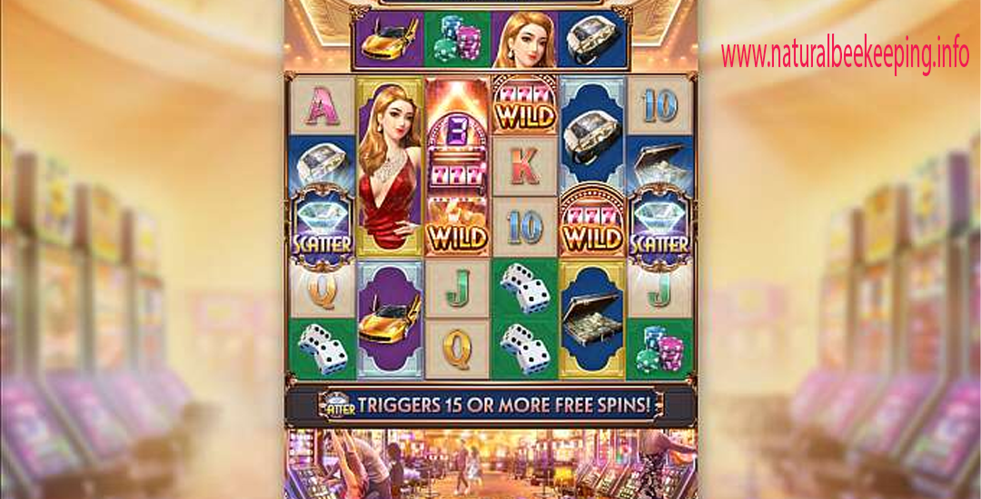 Dreams of Macau Slot