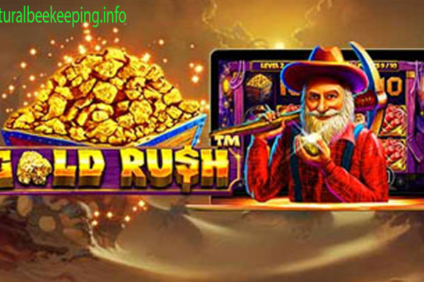 Gold Rush di Dollartoto