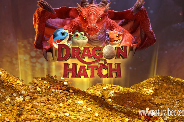 Dragon Hatch Slot Terbaru