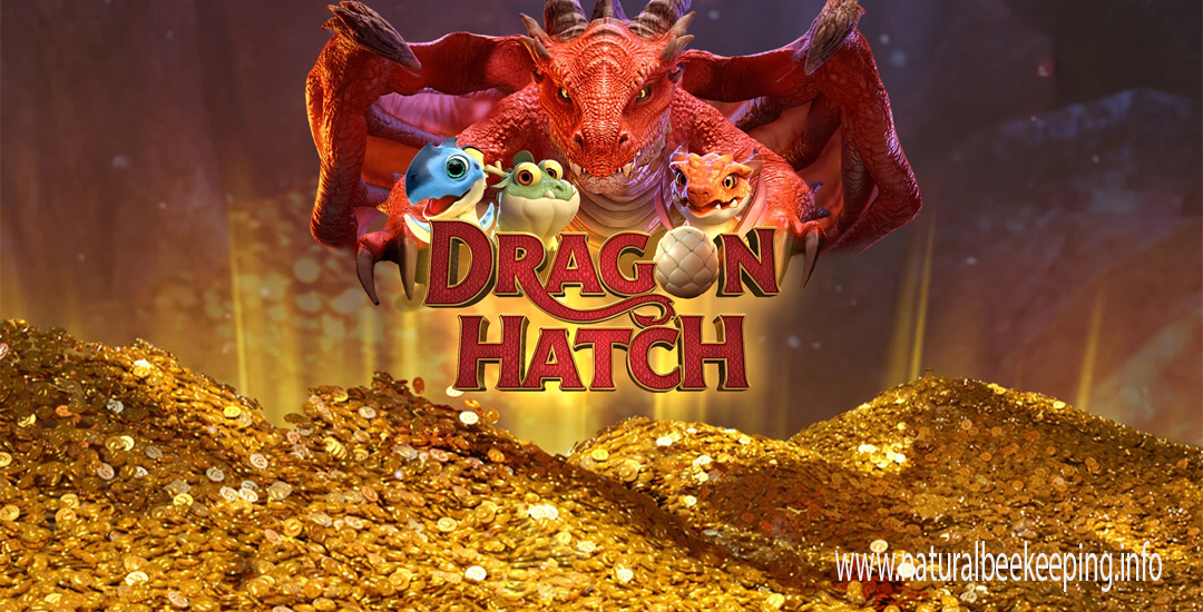 Dragon Hatch Slot Terbaru